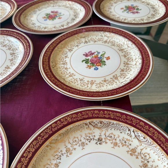 Steubenville 8 Vintage plates, vibrant Floral center design.